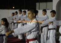 karate (38) (Αντιγραφή)